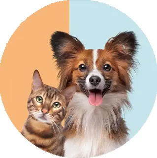 PET SHOPS