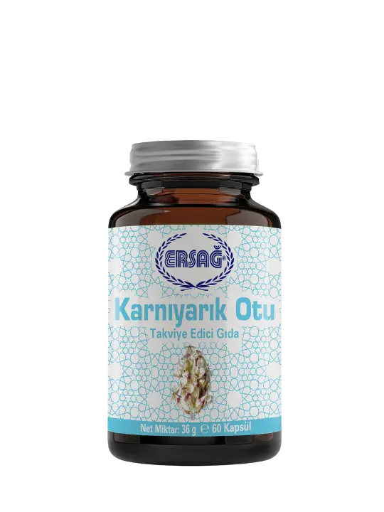 Ersağ Karnıyarık Otu